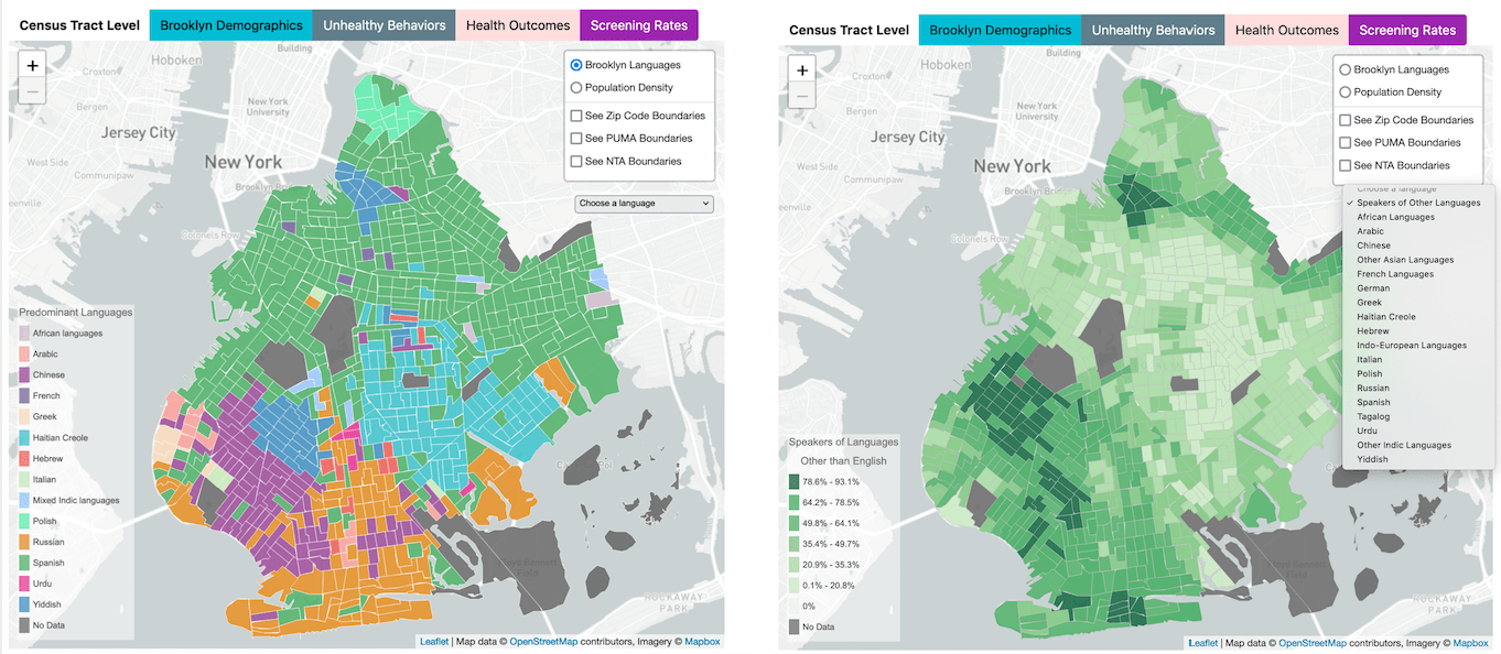The Code4Lib Journal The Brooklyn Health Map Reflections on a Health